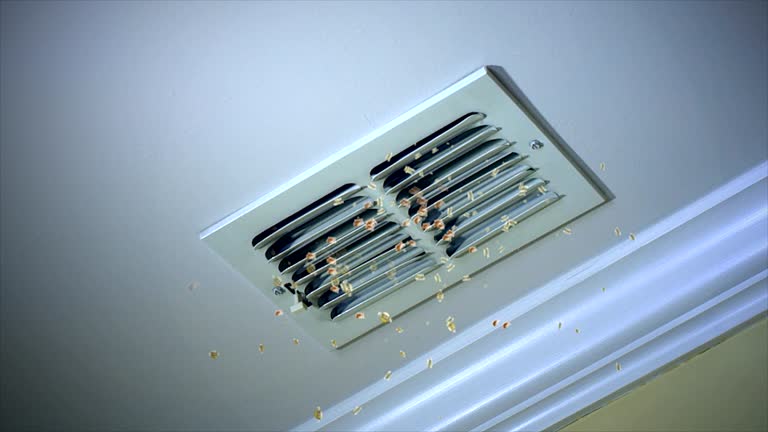 Best Dryer Vent Cleaning Services  in Quincy, FL