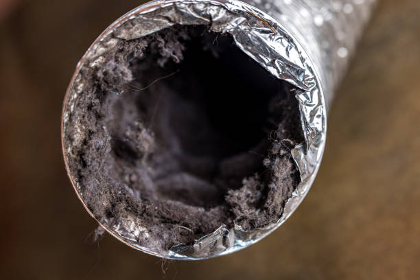 Best Commercial Air Duct Cleaning  in Quincy, FL