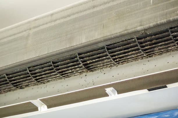 Best Best Air Duct Cleaning Company  in Quincy, FL